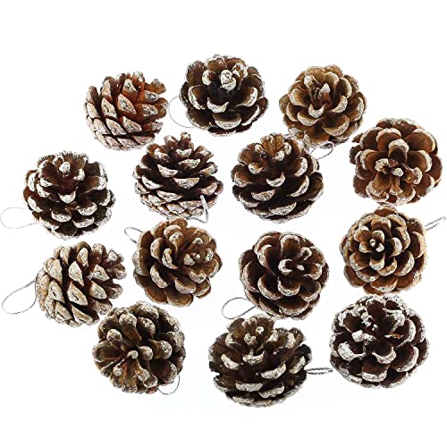 Prmape Cono de pino de abeto natural, mini piñas secas rústicas naturales, para Navidad, para decoración del hogar Cover