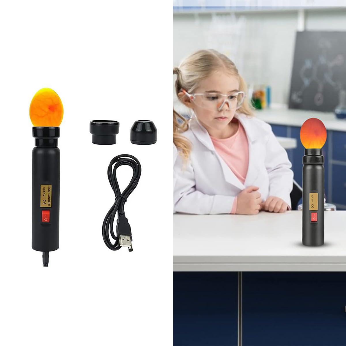 Amazon | 検卵器 ライト 孵卵器 検卵ライト 孵化器 孵卵機懐中電灯 USB