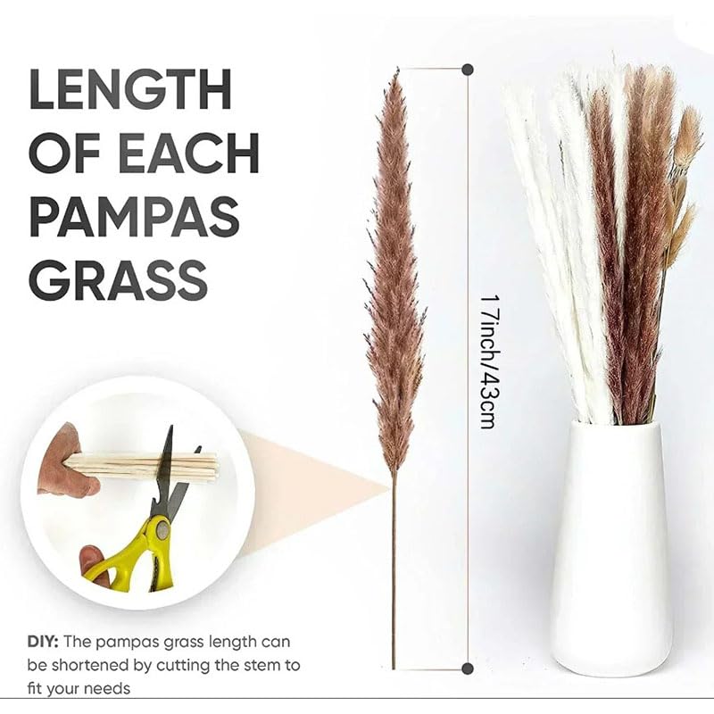 58 PCS Rabbit Tail Grass Flores Secas Estilo Boho miniatura 7