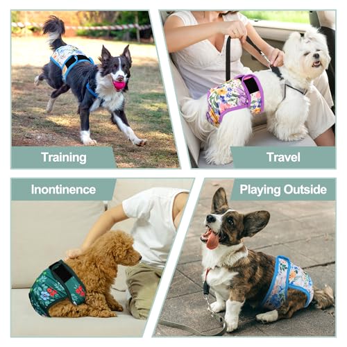 Image of Dog Diapers Female- Reusable Diapers for Doggie in Heat - Highly Absorbent for Pet Incontinence with Adjustable Snaps Green, XXL