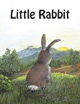 Paperback Little Rabbit Book