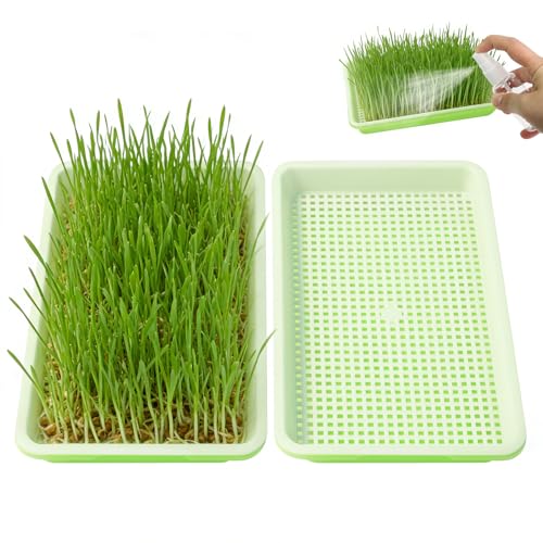 2er Set Kresse Anzuchtschalen (22x14cm) + 30ml Sprühflasche Sprossenbox Keimschalen für Microgreens Sprossen & Brunnenkresse Anzucht Starter Set Keimsprossenbox