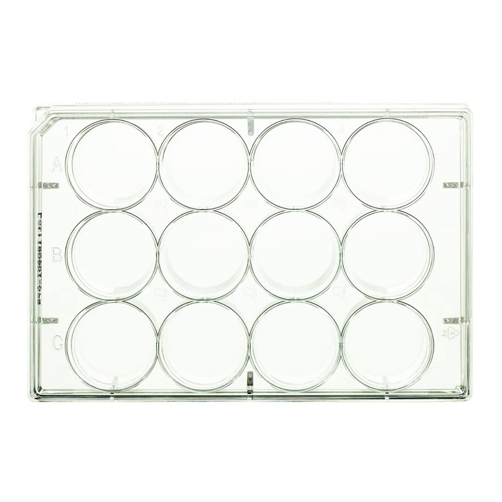 neoLabLine neoCulture Polystyrol Multitestplatten, 12 Well, Flach, Steril, Transparent, 100 Stück
