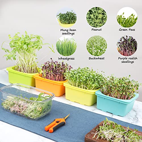 LUVCOSY 4 pçs Bandeja de cultivo Microgreen e bandeja de germinação, kit reutilizável de germinação