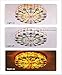 Fandian Vintage Ceiling Light Hand-Made Colorful Chandelier Flush Mount Lighting Fixture, Lampshade with Colorful Design Decor (20 Inch)