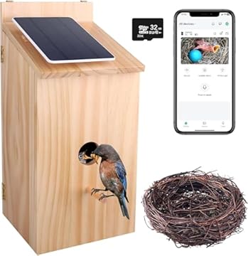 best birdhouses with cameras that will change how you watch wildlife 1 best birdhouses with cameras