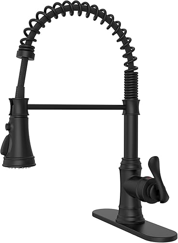 BWE - Grifo de lavabo de cocina con placa de cubierta, llave de una sola palanca con rociador extraíble, resorte de 3 funciones, grifo de cocina de