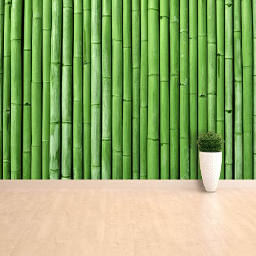 Papier Peint Bambou Vert Rénovation Murale Maison 152x104cm