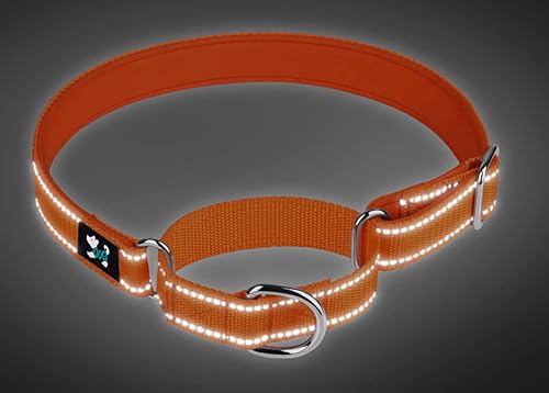 Miniatura 3 de Collares ajustables para perros de entrenamiento de seguridad Martingala, de neopreno suave y acolchado, de nailon transpirable, para perros