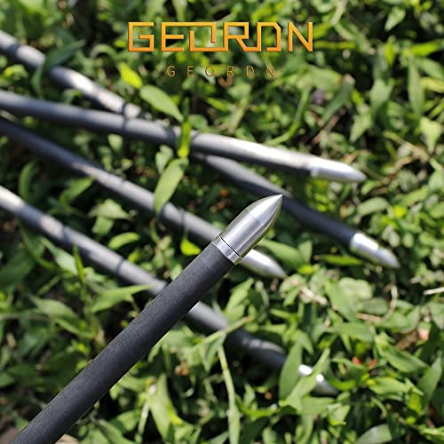 100/125/150/175/200 Grains Stainless Steel Field Points Practice Archery Arrow Target Bullet Point Combo Point 12 Pcs (R 19/64"-100 Grains) #TOP4