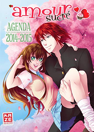 Télécharger Amour Sucre - Agenda Scolaire 2014-2015 Livre eBook France