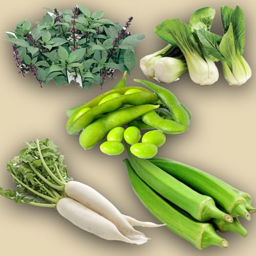 KIT SEMENTI GIAPPONESI | 5 Bustine di SEMI | Basilico Thai (basilico liquirizia) | Daikon (ravanello giapponese) | Edamame (fagiolo di soia) | Okra (clemson spineless) | Pak-Choi (cavolo cinese)