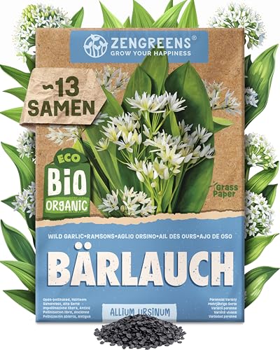 ZenGreens - Bio Bärlauch Samen - Bärlauchsamen - Kräutersamen für den einfachen Anbau im Garten Balkon oder Küche - Kräuter Saatgut ideal für Anfänger