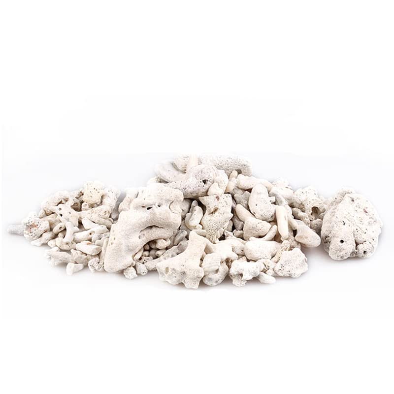 Filtre en os de corail naturel pour aquarium - 200 g - Matériau biologique moyen - Sable de corail pour pH stable - Filtrage d'aquarium