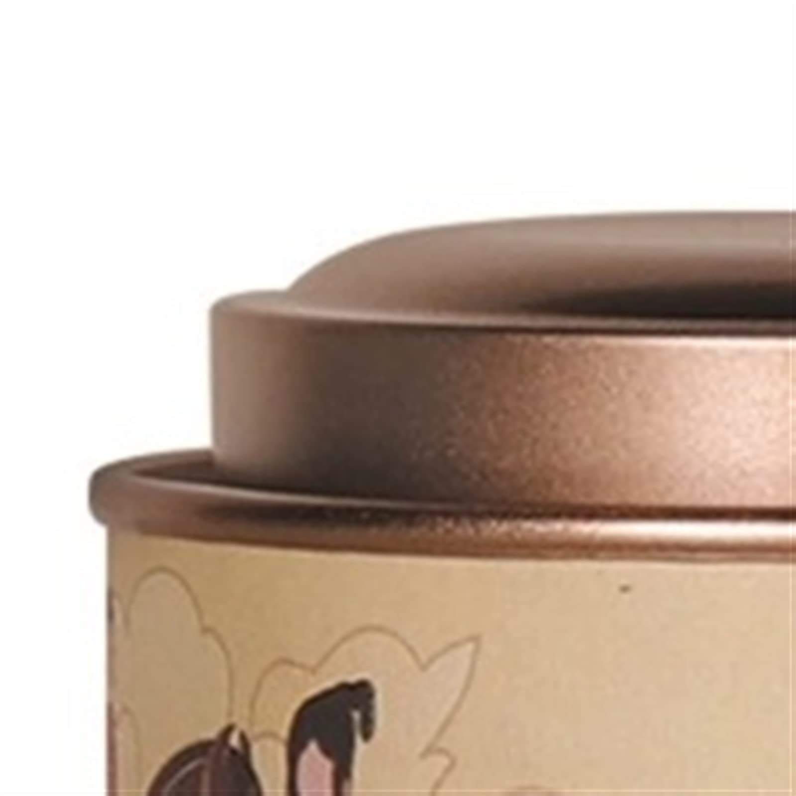JINGYAN Barattoli per la conservazione del tè Contenitore per contenitori per tè Scatola per di latta Bottiglia per sfuso Chicco caffè Conservazione bomboniere per casalinghe