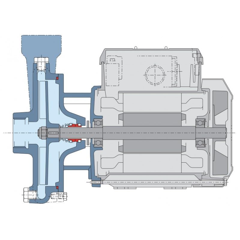 Pompe a eau Calpeda CM161 0,15 kW à roue ouverte de 0,6 à 2,4 m3/h monophasé 220V