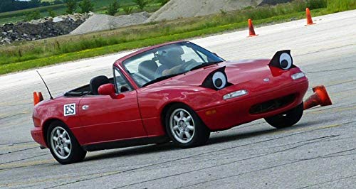 Diyasy 7.5 Inches Giant Googly Eyes, 2 Pcs Large Wiggle Eyes Self Adhesive For Diy Craft Decorations And Christmas Ornaments. #TOP6