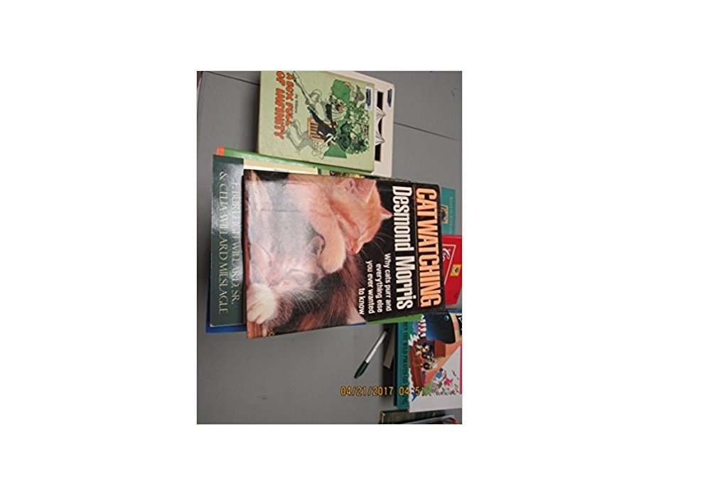 Cover of Catwatching
