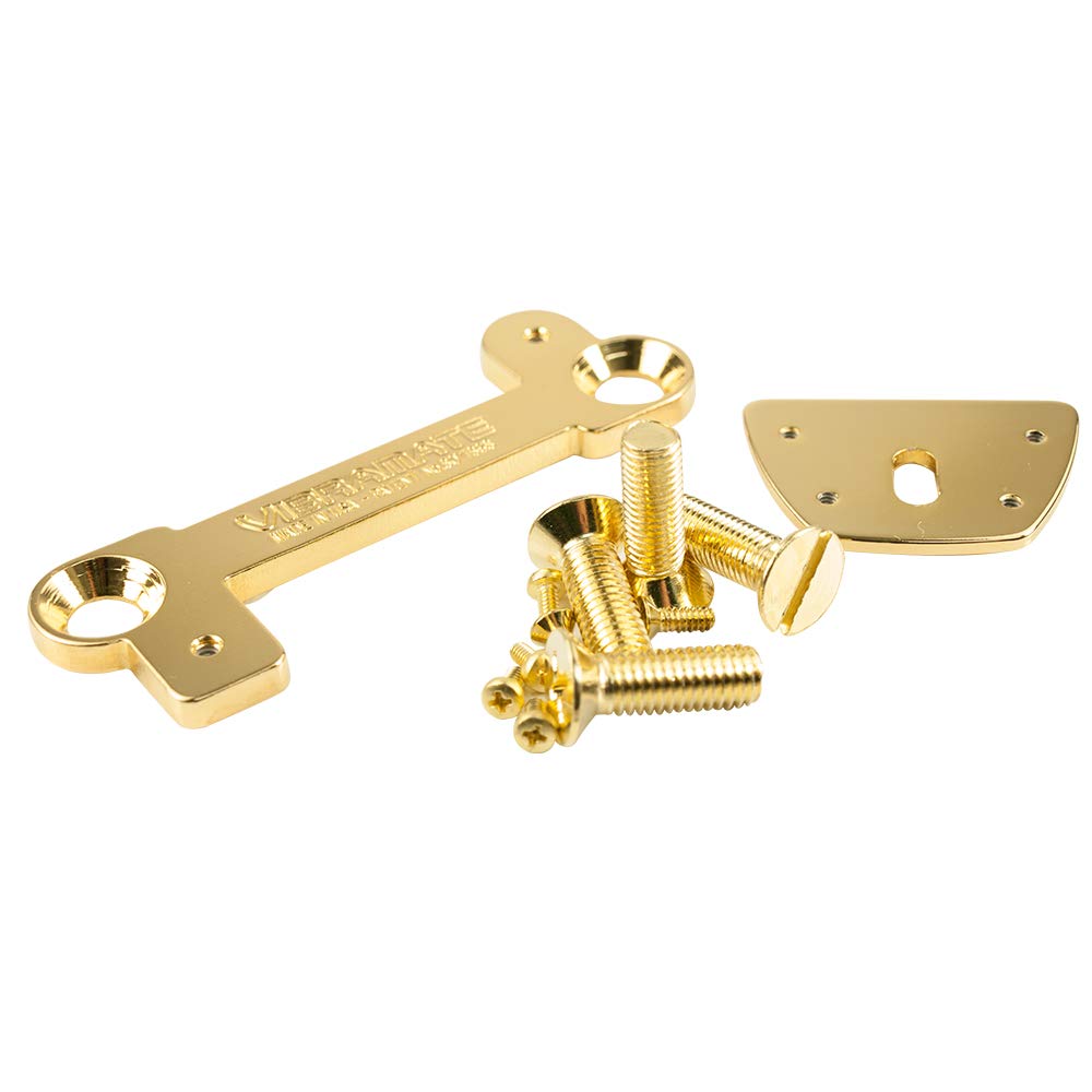 Amazon.co.jp: Vibramate V7-LP-G Mounting Kit for Bigsby B7 Carved
