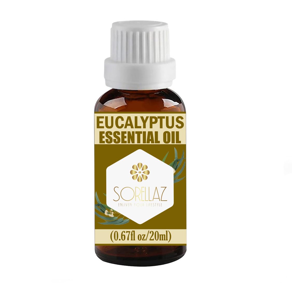 Eucalyptus Essential Oil 0.67fl oz/20ml l Eucalyptus Globulus l 100% Natural Undiluted & Pure l with Easy to Use Euro Dropper