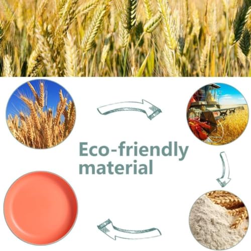 Image of Wheat Straw & Bamboo Fiber Plates Set, Lightweight Dinner Plates, Microwave and Dishwasher Safe, Plates Easy to Clean & Reusable (9 Inches, Blue, Set of 6) (8, Orange)