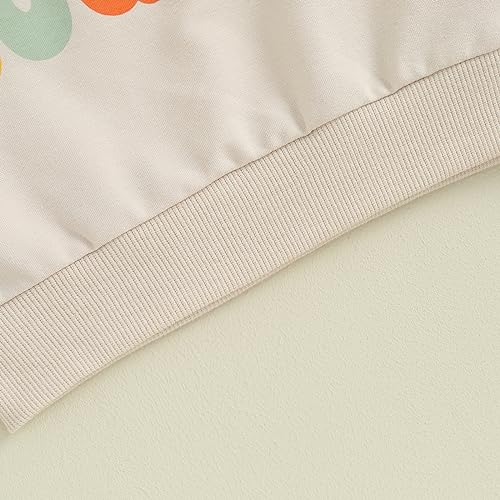 Toddler Baby Girl Boy Sibling Matching Outfits Big Cousin Shirt Embroidery Crewneck Sweatshirt Fall Winter Clothes4