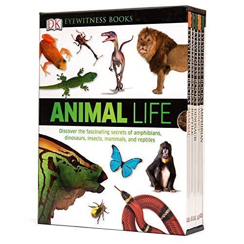 Animal Life DK Eyewitness Books Box Set with Five Volumes (Reptile, Mammal, Dinosaur, Insect, Amphibian)