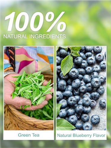 Image of TeeLux Blueberry Green Tea Bags, Fruit Flavored Tea, Smooth Taste, 100Count