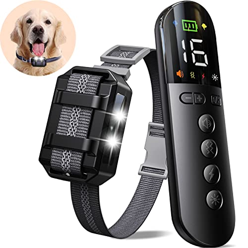 Top 10 Best Shock Collar For Beagles Reviews & Buying Guide Katynel
