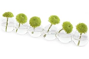 CHIVE Caterpillars Glass Bubble Bud Centerpieces Clear Narrow Vase