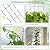 3 Set Tall Trellis for Potted Plants Indoor, 32'' Expandable Garden Metal Trellis for Climbing Plants Outdoor, Monstera Plant Support for Hoya, Vine, Ivy Pothos (Black)