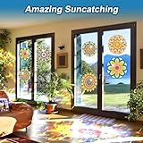 Zoom IMG-1 lotolo 6 pcs kit di Zoom IMG-1 lotolo 6 pcs kit di