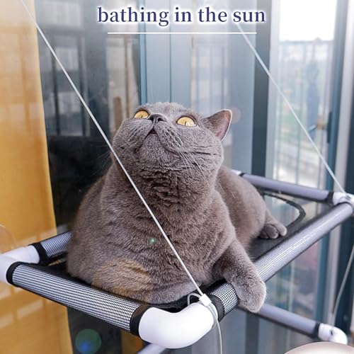 Étagères d'animaux de compagnie de sécurité pour chat d'intérieur - 3