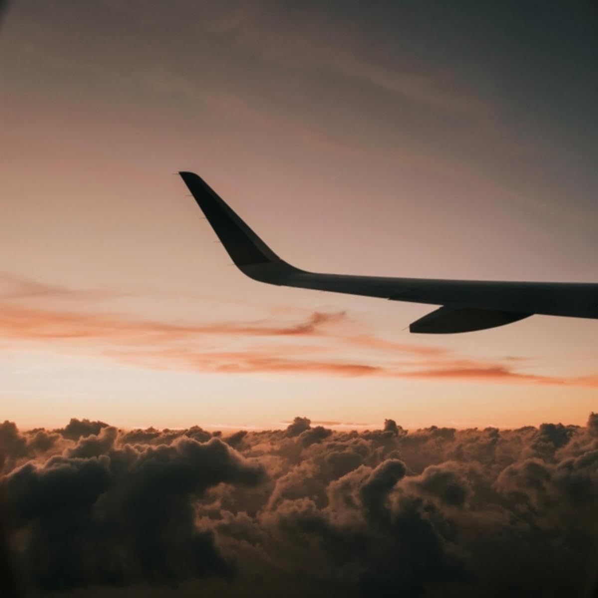 The Zen Noise Academy