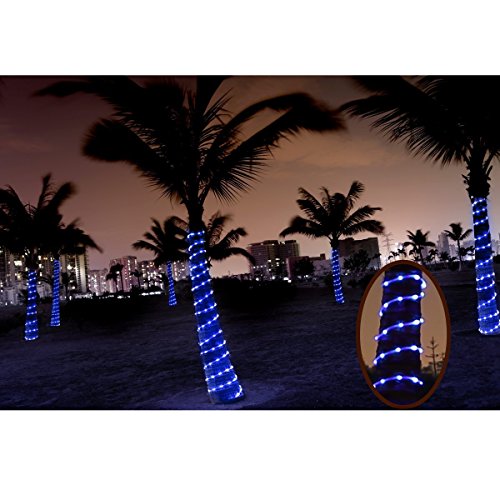 Lighting EVER LE Cavo luminoso 10m 100LED