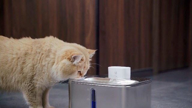 Amazon | DELLEPICO 猫 水飲み器 コードレス 充電式 4L 活性炭