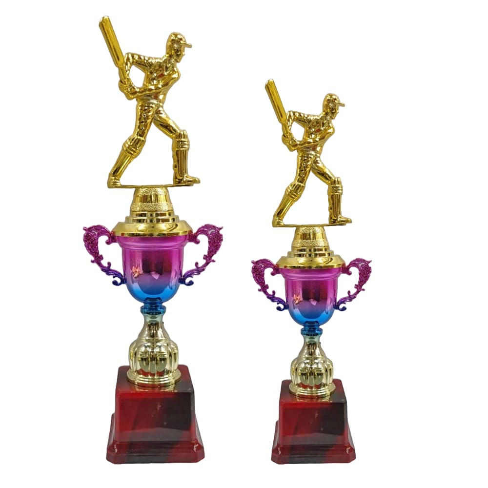 Premium Multicolour Batsmen Trophy – Decorative Cricket Achievement Award Cup for Winners Pack of 2 (Size-13 inch/12 inch)-picture-22
