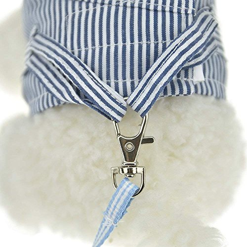 ASOCEA Geschirr und Leine für Kleintiere Verstellbare Laufleine für Haustiere Komfort gepolsterte Weste Trainingsleine für Ratten Leguan Hamster Frettchen