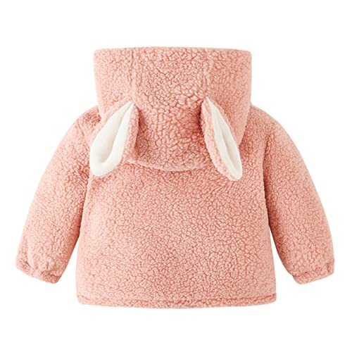 Baby Girls Fleece Sherpa Zipper Hooded Coat Teddy Ears Long Sleeve Jacket Toddler Boys Cute Warm Clothes with Pockets2