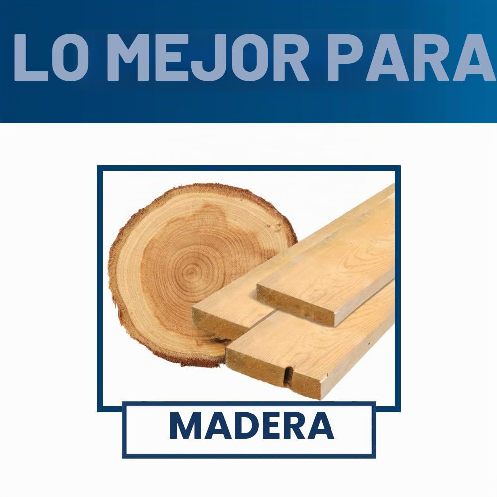 Bosch RSM6045 - Almohadilla de lija con gancho y bucle de 6 pulgadas
