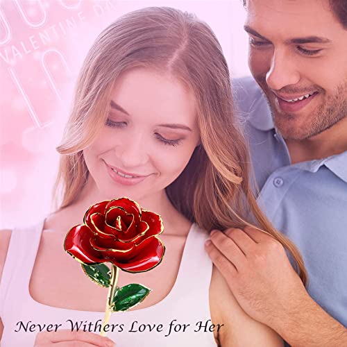 Sinvitron Gold Dipped Infinity Rose - Eternal Resin-Preserved Rose | Forever Flower Decor for Birthdays, Mother’s Day, Anniversaries | Unique Gift for Women, Mom, Wife (Red) - Image 3