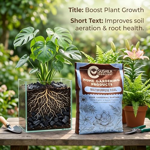 Image of Eco-Friendly Natural Wood Charcoal 5 KG | Long Burning Coal & Air Purifier Koyla for BBQ, Grilling, Cooking, Pooja, Dhoop, Havan & Gardening | Activated Charcoal for Indoor Plants