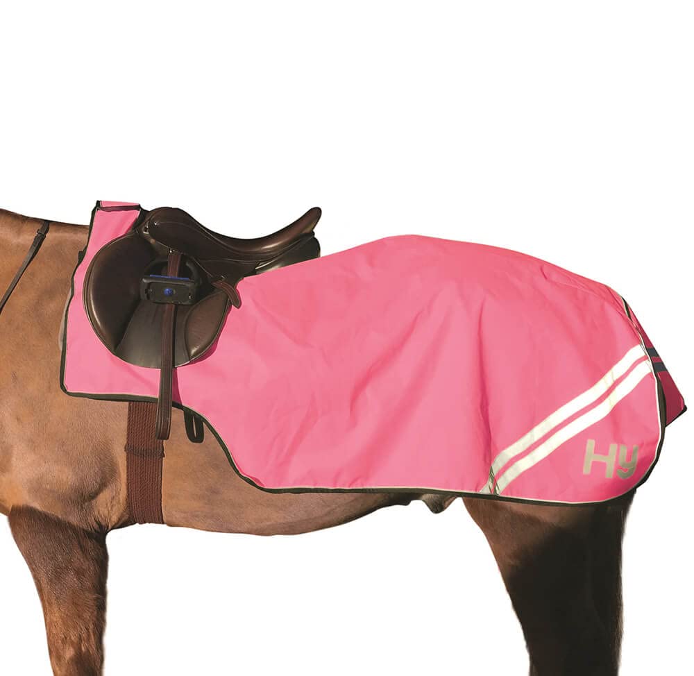 HyVIZ Reflector Horse Exercise Sheet (5´) (Pink)