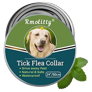 Rmolitty Collar Perro antiparasitario garrapatas pulgas, Aceites Naturales Tratamiento de Pulgas, 8 Meses 60cm para Pequeño Mediano Grande Perro