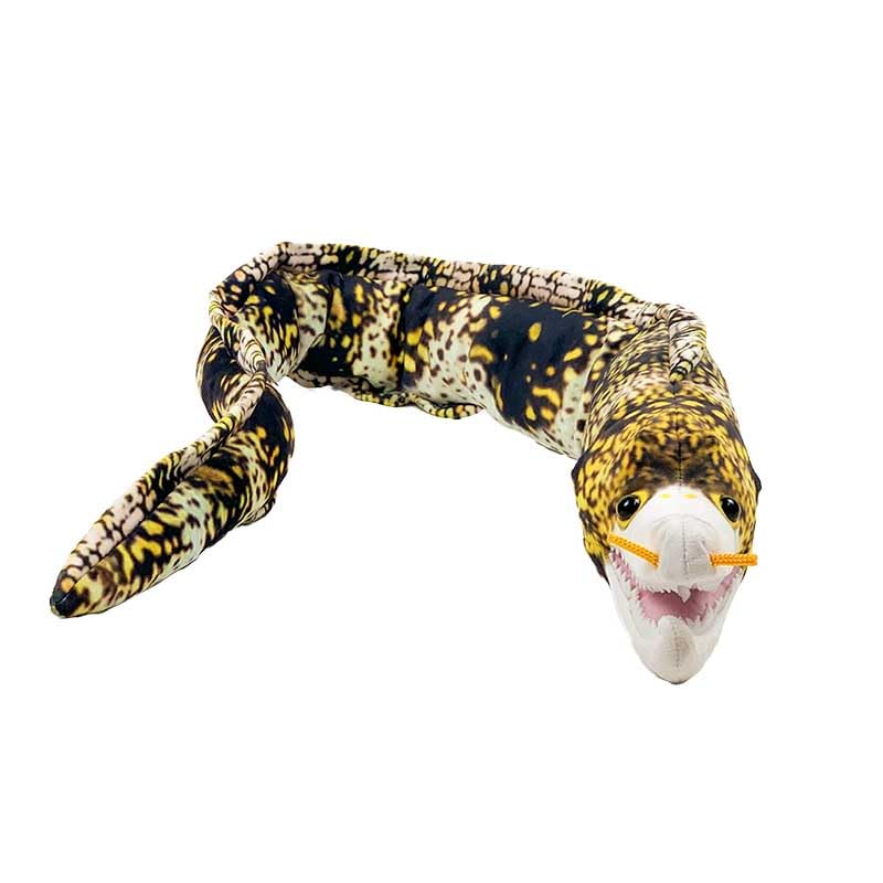 おさかなさん Amazon.co.jp: 太洋産業貿易 SK010 さかなクン監修 おさかな