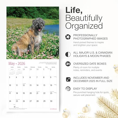 Image of RED EMBER Irish Wolfhounds 2026 Wall Calendar 12 Month | 12 inch x 24 inch Open | Thick & Sturdy Paper | Giftable | Cute Puppy Dog Calendar 2026