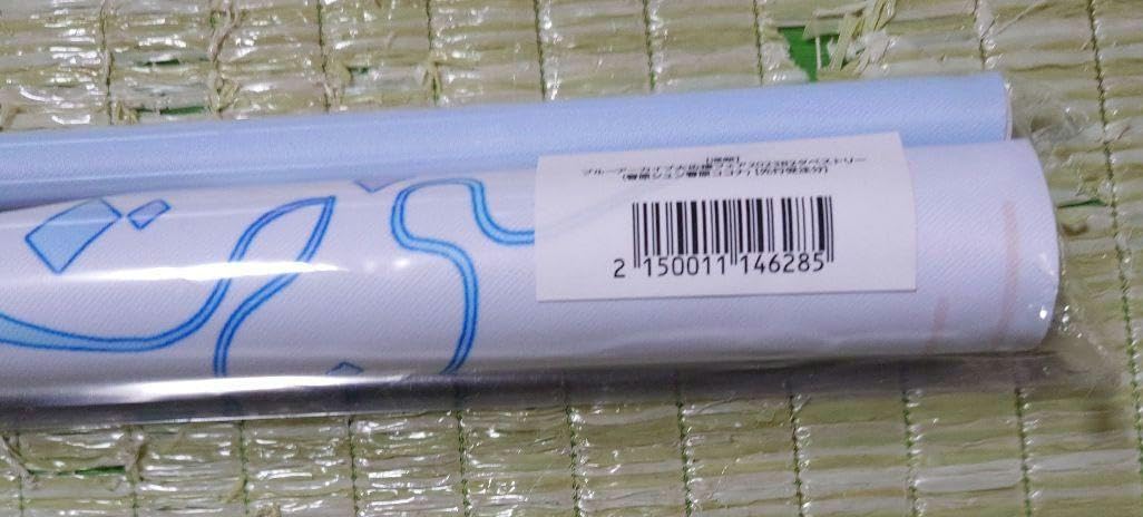 Amazon.co.jp: ブルーアーカイブ 大応援フェア 2023 春原シュン ココナ