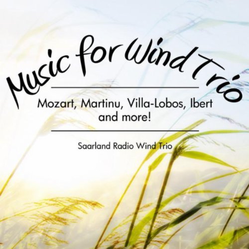 The Saarland Radio Wind Trio