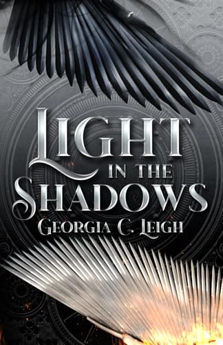 Light in the Shadows view 2