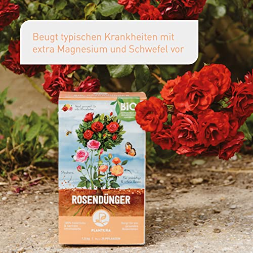 Plantura Bio Rosendünger mit 3 Monaten Langzeitwirkung, 1,5 kg, für prächtige Rosen in Beet & Topf, Bio-Qualität, gut für den Boden, unbedenklich für Haus- & Gartentiere – Bild 5